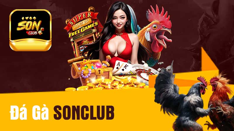 Đá Gà SONCLUB Nơi Tập Hợp Những Trận Đá Gà Đỉnh Cao